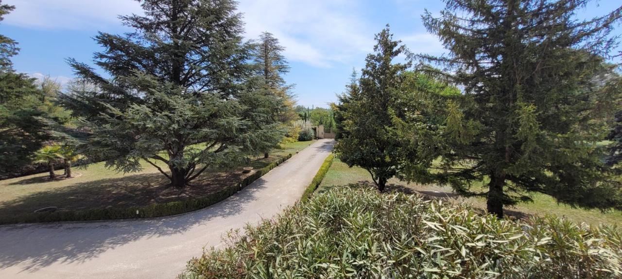 Villa Liberty Entraigues-sur-la-Sorgue Екстериор снимка
